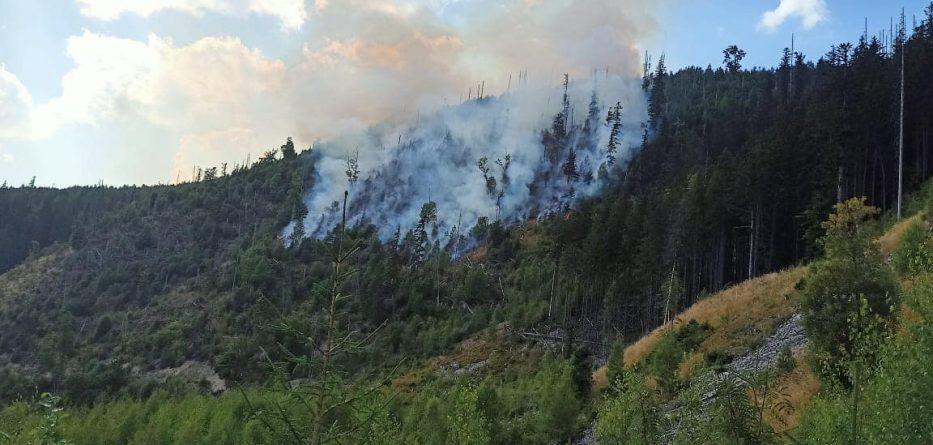 На Прикарпатті спалахнула масштабна лісова пожежа