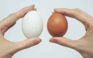 В Україні зʼявляться нові вимоги щодо продажу курячих яєць