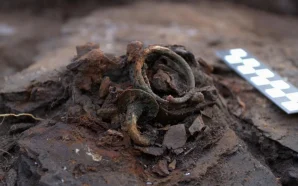 У Польщі розкопали скарбницю артефактів бронзової доби