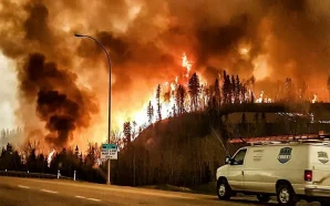 У Канаді вирують сильні лісові пожежі